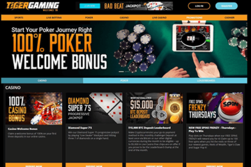 TigerGaming Casino Review: Final Rating