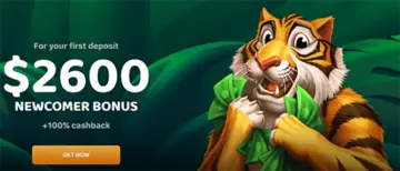 Lucky Tiger Casino Banking Options